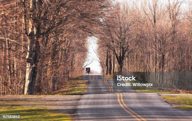 Amish Cavallo E Buggy Avvicinarsi Lontani Su Una Strada Di Campagna - Fotografie stock e altre immagini di Laghi Finger