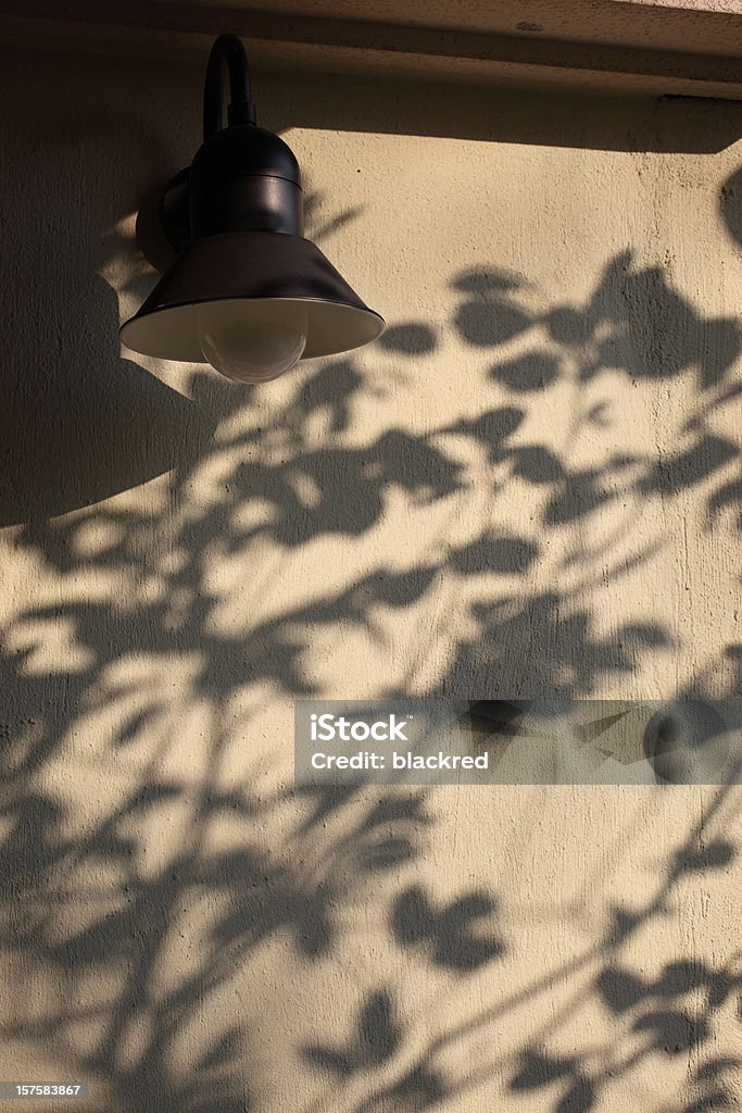 Beautiful Tree Shadows on Wall  Abstract Stock Photo