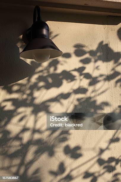 Beautiful Tree Shadows On Wall Stock Photo - Download Image Now - Abstract, Backgrounds, Beauty In Nature