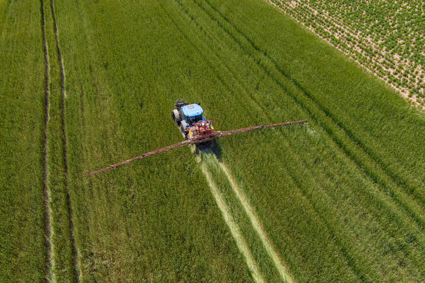 istock Tractor fertilizes crops 1575839772