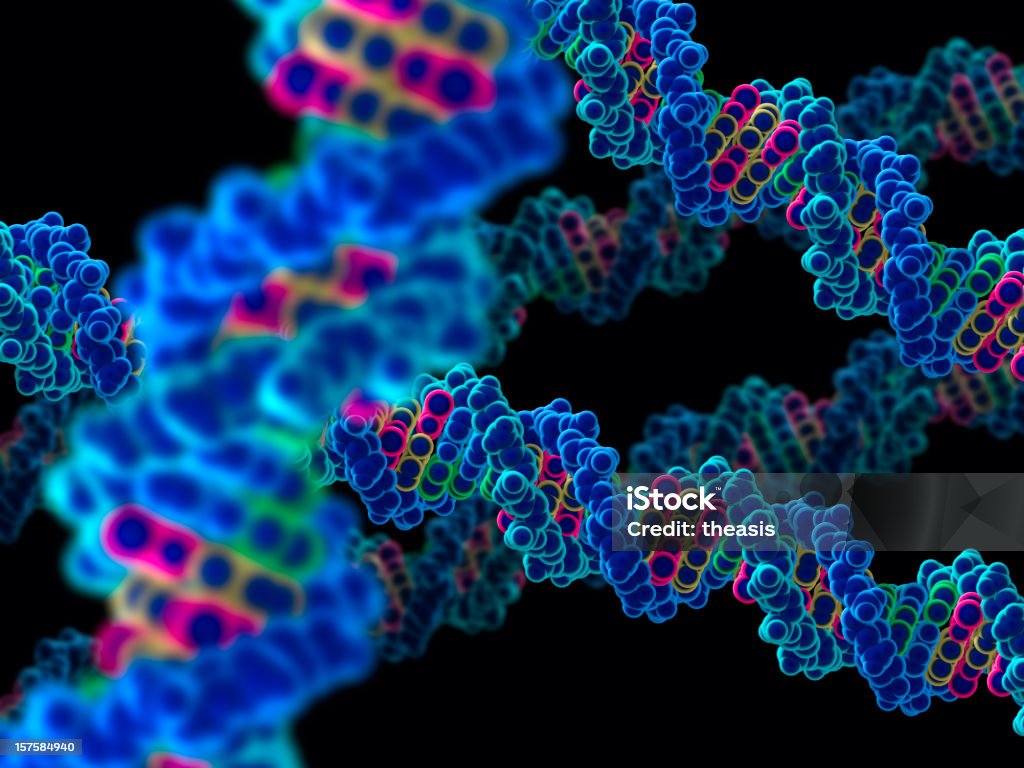 Modèle de lanières deoxyribonucleic acide - Photo de ADN libre de droits