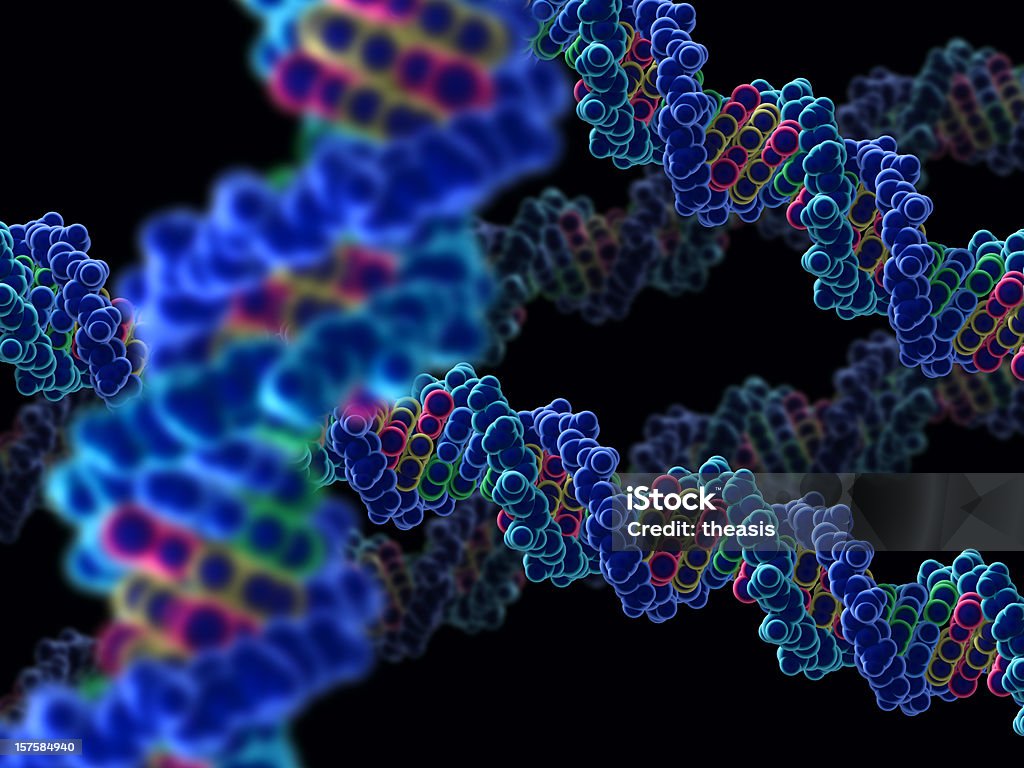 Modelo de ácido desoxirribonucleico cadeias - Royalty-free ADN Foto de stock