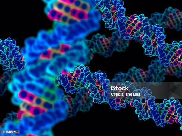 Modelo De Ácido Desoxirribonucleico Cadeias - Fotografias de stock e mais imagens de ADN - ADN, Hélice - Formas Geométricas, Modelo de Hélice