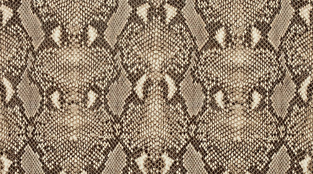 strukturierten hintergrund von echtem leder in python haut muster - animal skin stock-fotos und bilder