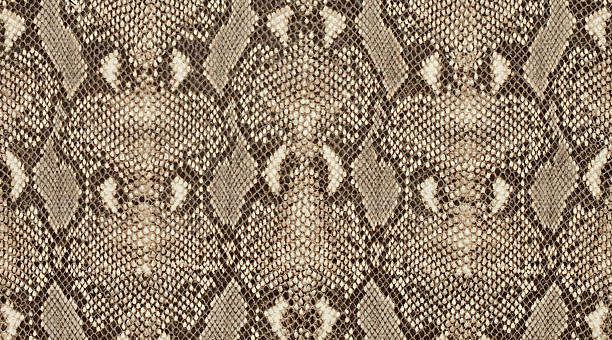 質感のある背景の本物のレザーにパイソンスキン模様 - snake python reptile animal ストックフォトと画像