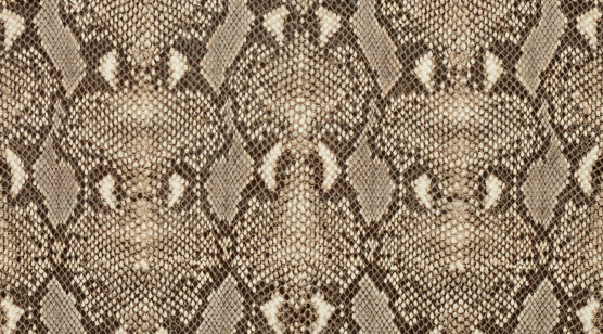 Textured background of genuine leather in python skin pattern.