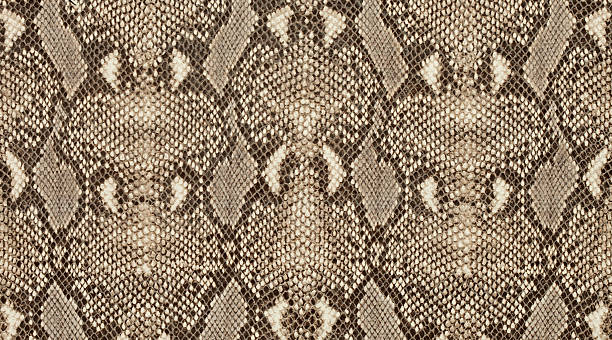 Textured background of genuine leather in python skin pattern Textured background of genuine leather in python skin pattern. animal print pattern stock pictures, royalty-free photos & images