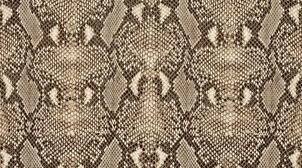 Textured background of genuine leather in python skin pattern.