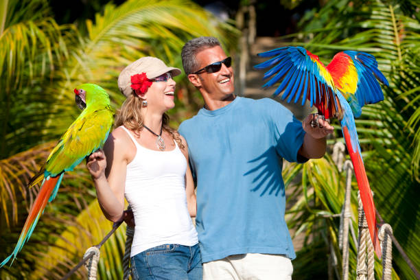 Tropical Vacation: Couple on Rope Bridge with Macaws