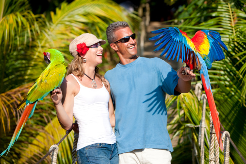 An attractive mid-adult man and woman standing on a rope bridge holding colorful macaws on their hands while on vacation in a tropical destination.