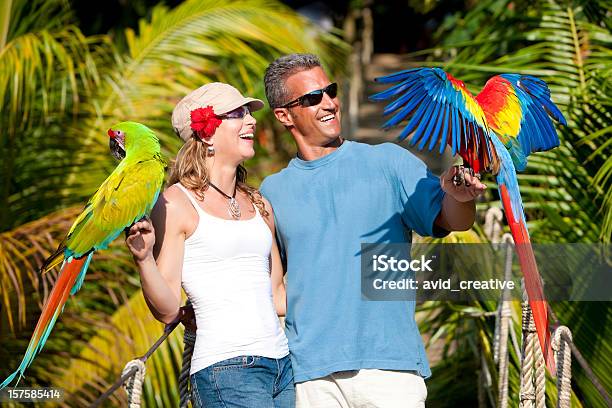 Tropical Vacation Couple On Rope Bridge With Macaws Stock Photo - Download Image Now