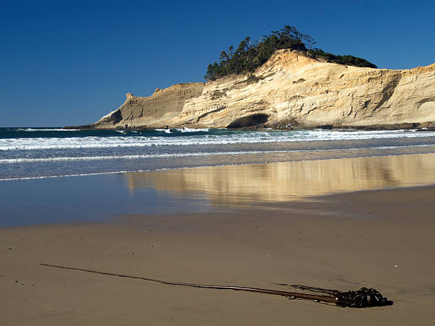 istock Cape Kiwanda Beach State Park Pacific City Oregon 157585514