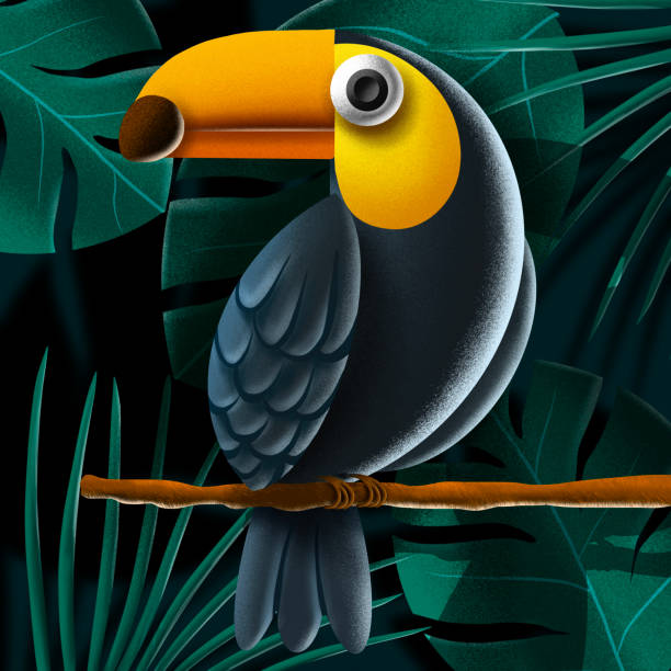 3d cute toy toucan, bird character illustration. Parrot drawing. stock photo