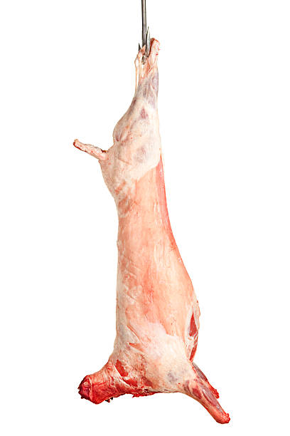 wunderbar lamb (ganz - dead animal butcher meat sheep stock-fotos und bilder