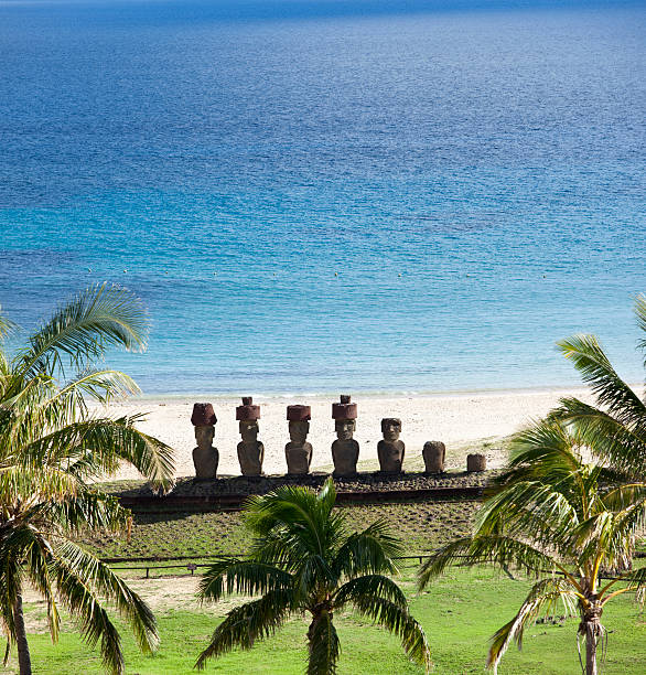 anakena praia com moai na ilha de páscoa chile - polynesia moai statue island chile imagens e fotografias de stock