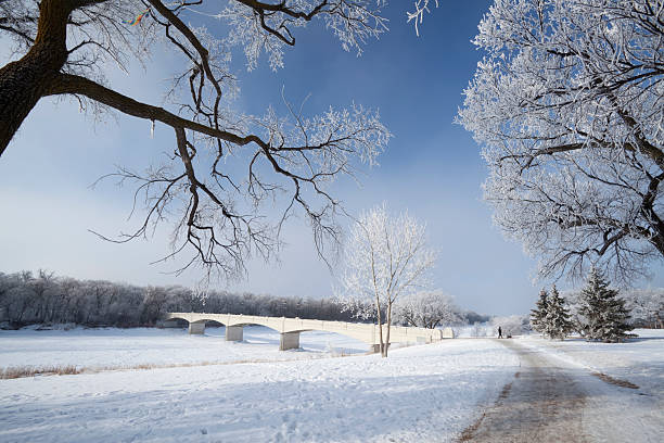 assiniboine park winnipeg - manitoba winnipeg winter bridge zdjęcia i obrazy z banku zdjęć