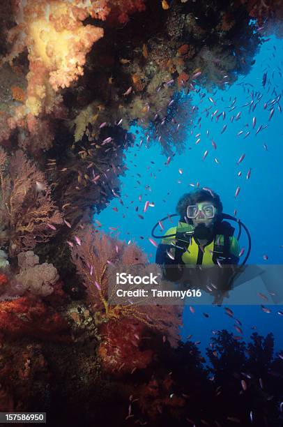 Soft Coral Masterpiece Stock Photo - Download Image Now - Deep, Only Women, Sea