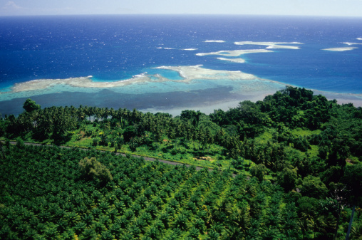 View of turquoise Caribbean water on the Capurgana coast