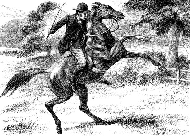 victorian mann auf einem pferd viehhaltung - engraving rural scene engraved image men stock-grafiken, -clipart, -cartoons und -symbole