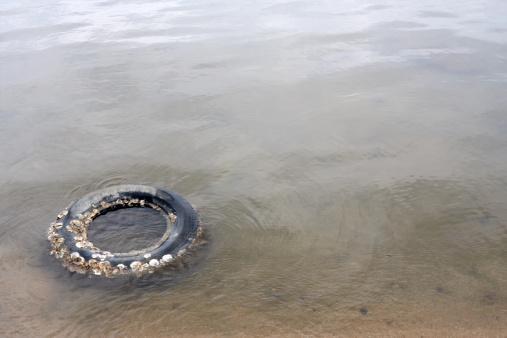Concern for the environment, water pollution, old tyre in the water