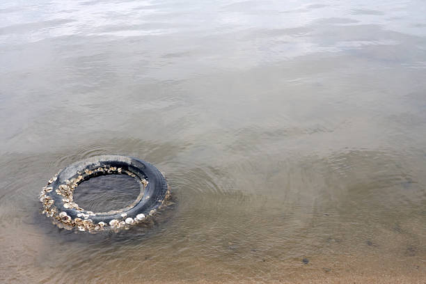 water pollution Concern for the environment, water pollution, old tyre in the water brackish water stock pictures, royalty-free photos & images
