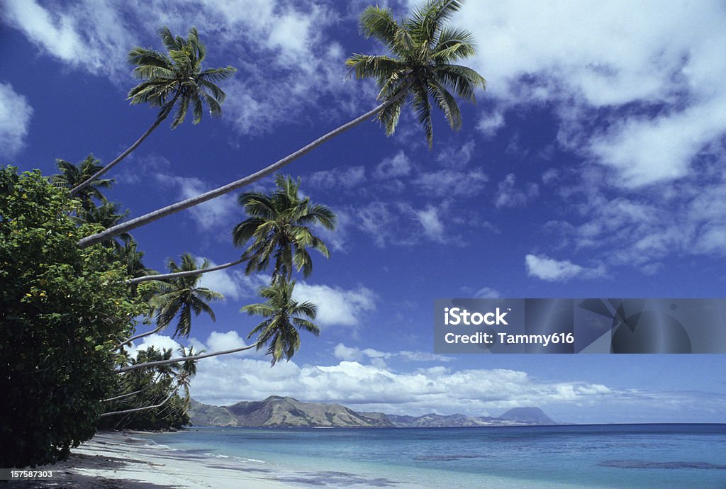 South Pacifico Fantasia - Foto stock royalty-free di Acqua