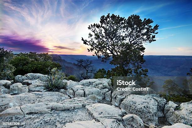 Gran Cañón Al Atardecer Foto de stock y más banco de imágenes de Acantilado - Acantilado, Aire libre, Arizona