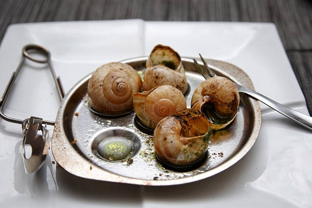 A snail crawling onto a white fork resting on a disposable plate â a visual metaphor for the fragility of nature in a consumer world. Suitable for articles on ecology, food photography, and social advertising.