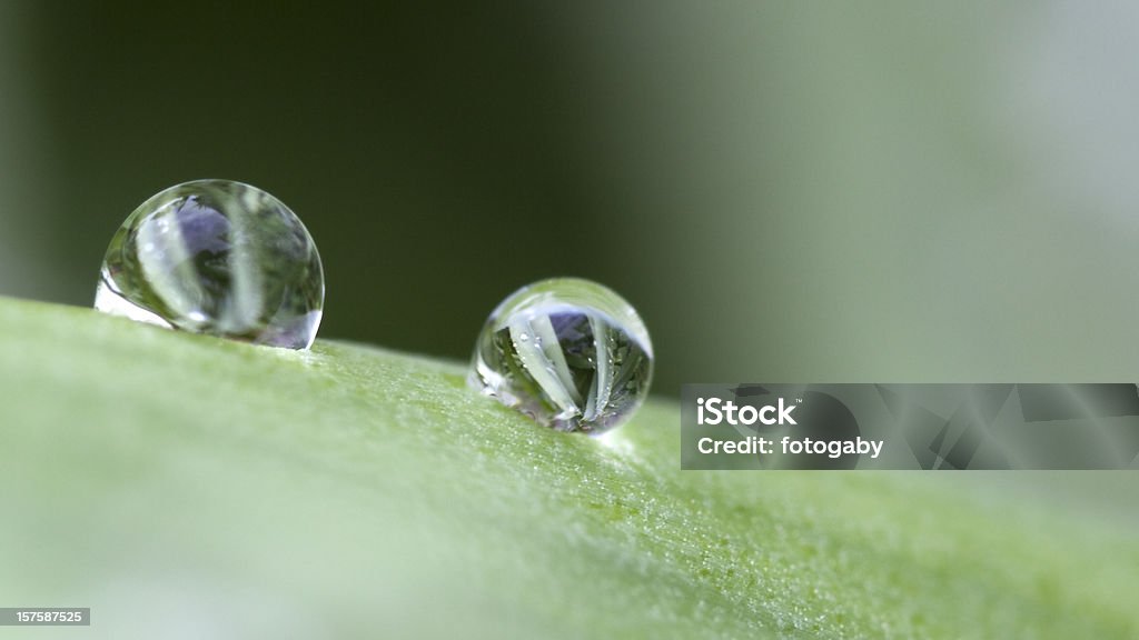 Raindrops - Foto de stock de Abstrato royalty-free