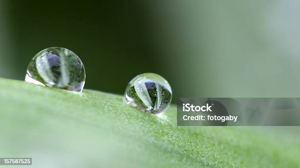 Foto de Raindrops e mais fotos de stock de Abstrato - Abstrato, Chuva, Esfera