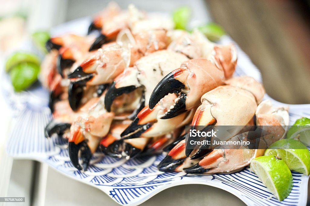 Plate full of Stone Crab  Stone Crab Stock Photo