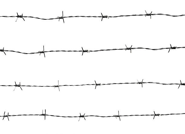Barbed wires Barbed Wires, 4 in a row. barbed wire photos stock pictures, royalty-free photos & images