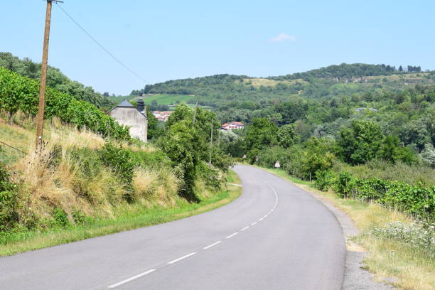 istock Moselle valley road in summer 1575878716