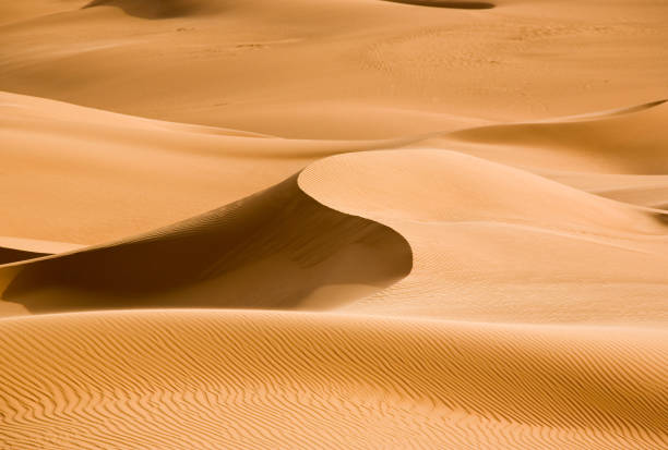 istock Sand dune between light and shadow in the Sahara 157587974