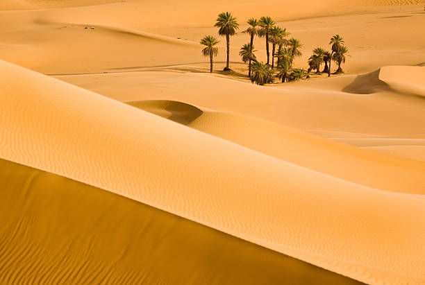 Sand dunes in sahra desert