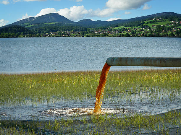 wasserverschmutzung - pollution stock-fotos und bilder