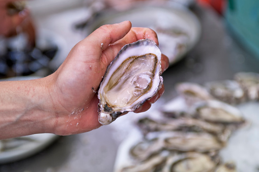 Hand Holding a Freshly Shucked Oyster