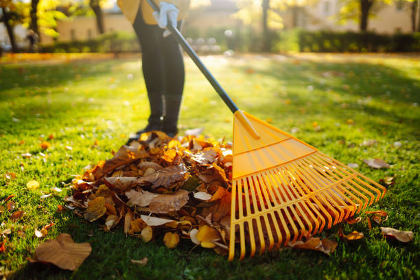 collecte de feuilles mortes. feuilles d’automne ratissées de la pelouse sur la pelouse dans le parc d’automne. - râteau photos et images de collection