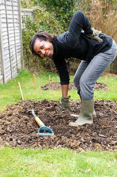 istock African American Woman Experiencing Back Pain While Gardening 157589075