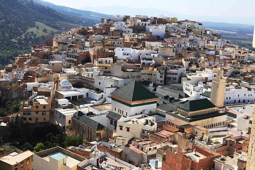 View on Guadix, with the characteristic residential district, the imposing cathedral at left and the fortress of the Alcazaba at right, that began to be built around the 10th century