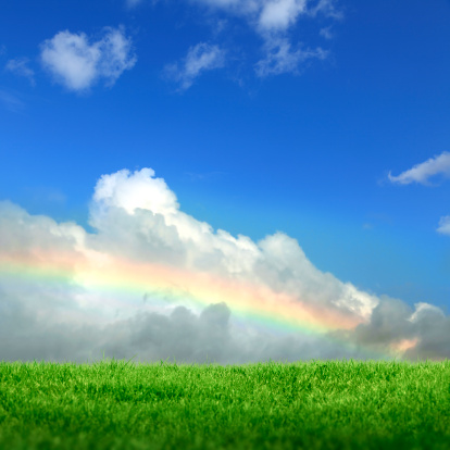 green grass field over rainbow and clear sky.