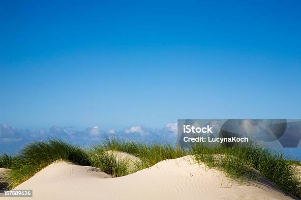 Duenenlandschaft An Der Nordsee Stockfoto und mehr Bilder von Anhöhe - Anhöhe, Blau, Deutsche Nordseeregion