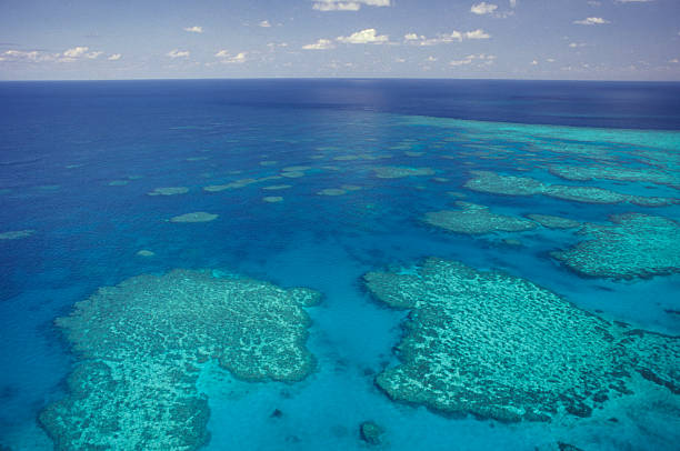 Aerial view of the Great Barrier Reef stock photo