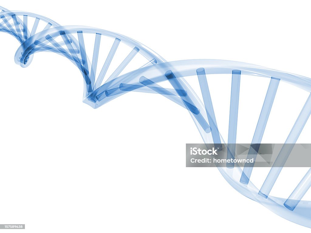 3D DNA Stands  DNA Stock Photo