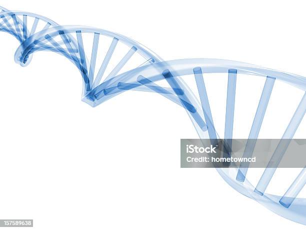 3d Dna Stands Stock Photo - Download Image Now - DNA, Helix, Helix Model