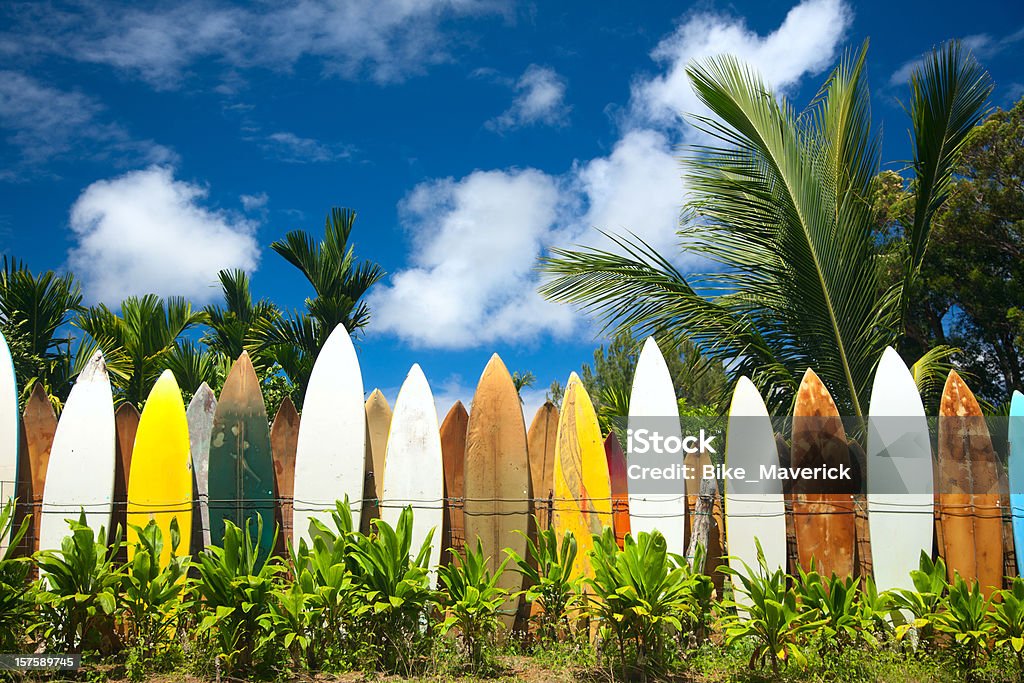 Práctica de surf - Foto de stock de Maui libre de derechos