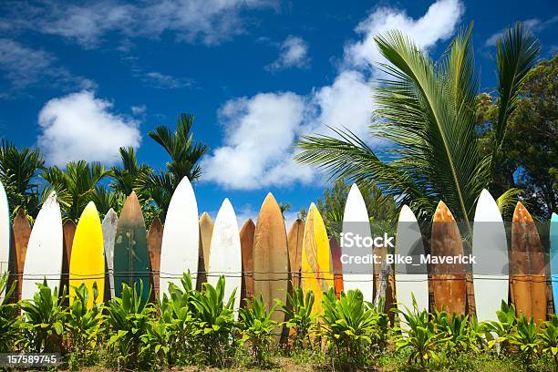 Сёрфинг — стоковые фотографии и другие картинки Мауи - Мауи, Гавайские острова, Доска для сёрфинга