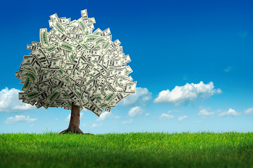 digitally generated image of money tree over clear sky. 