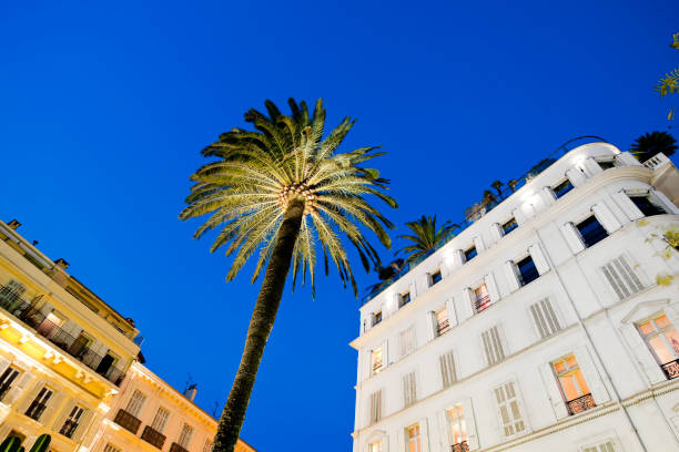 istock hotel facade and palm tree at sunset in Cannes 157589911