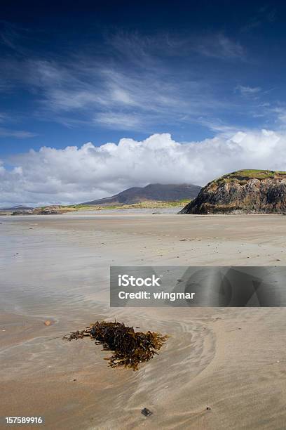 Connemara - Fotografias de stock e mais imagens de Europa - Locais geográficos - Europa - Locais geográficos, Paisagem - Natureza, Ao Ar Livre